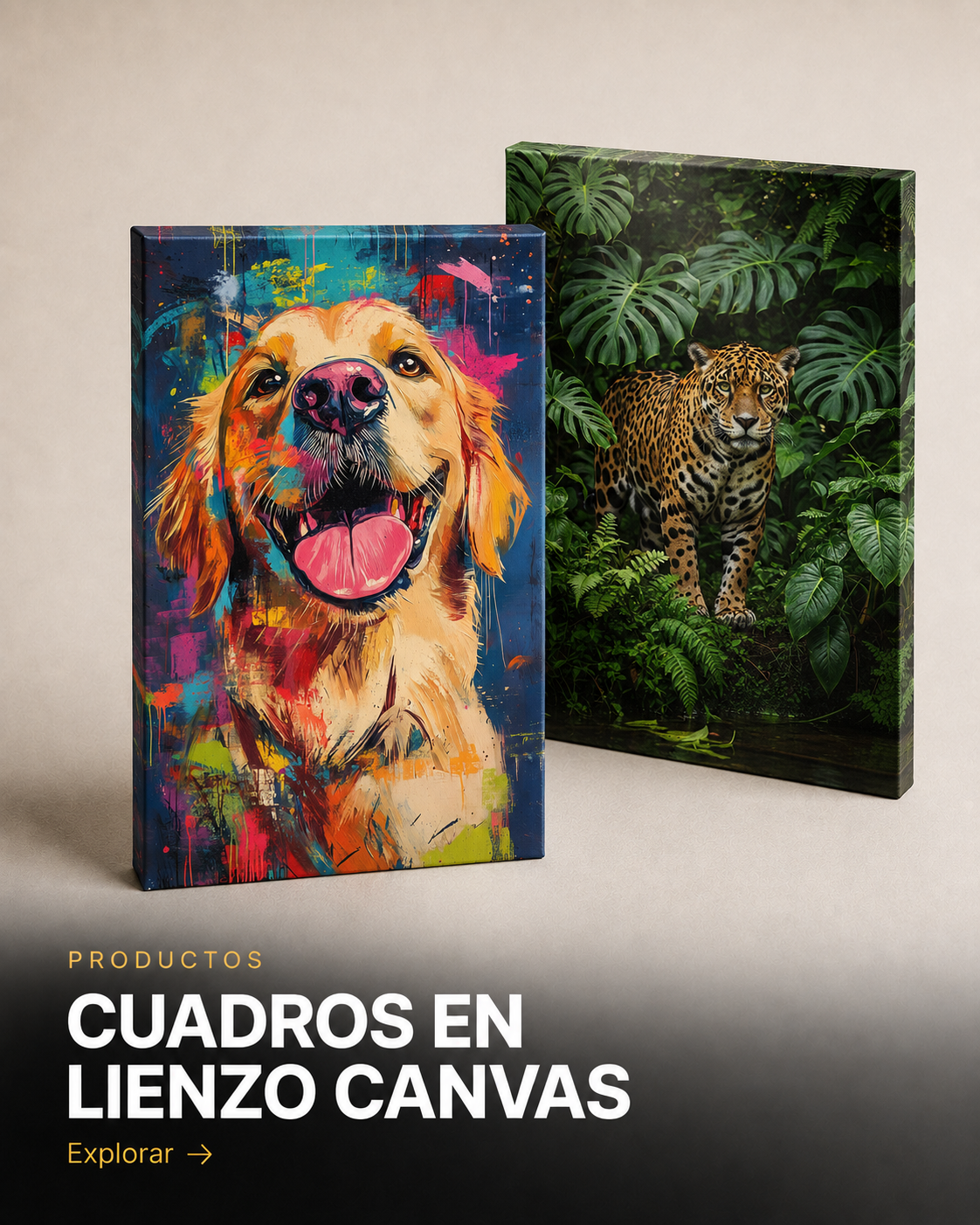 Cuadros en Lienzo Canvas Decorativos
