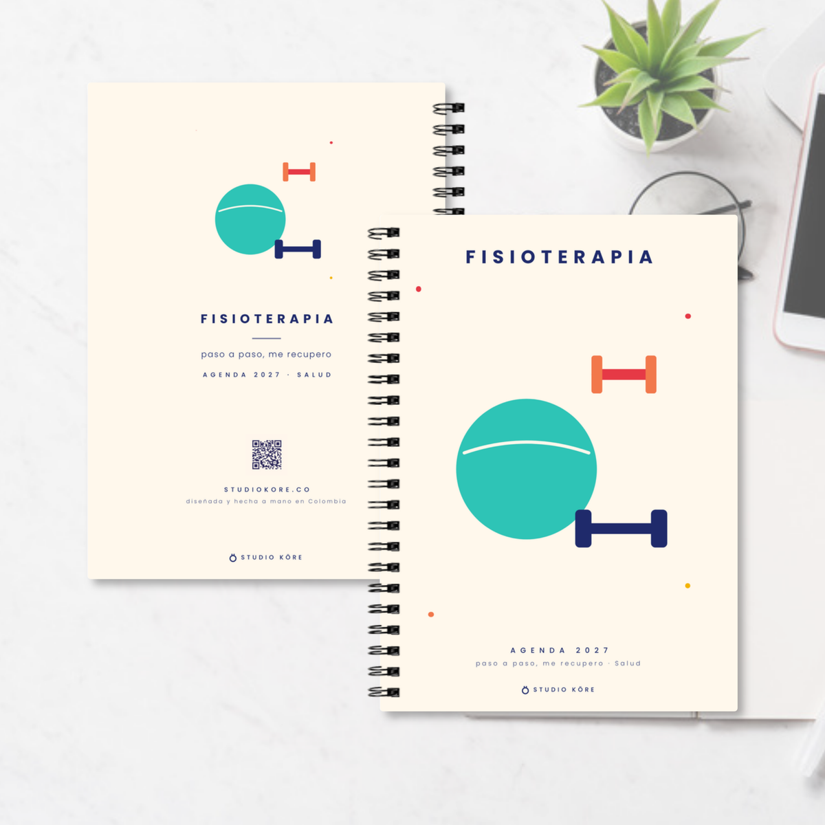 Fisioterapia-D2