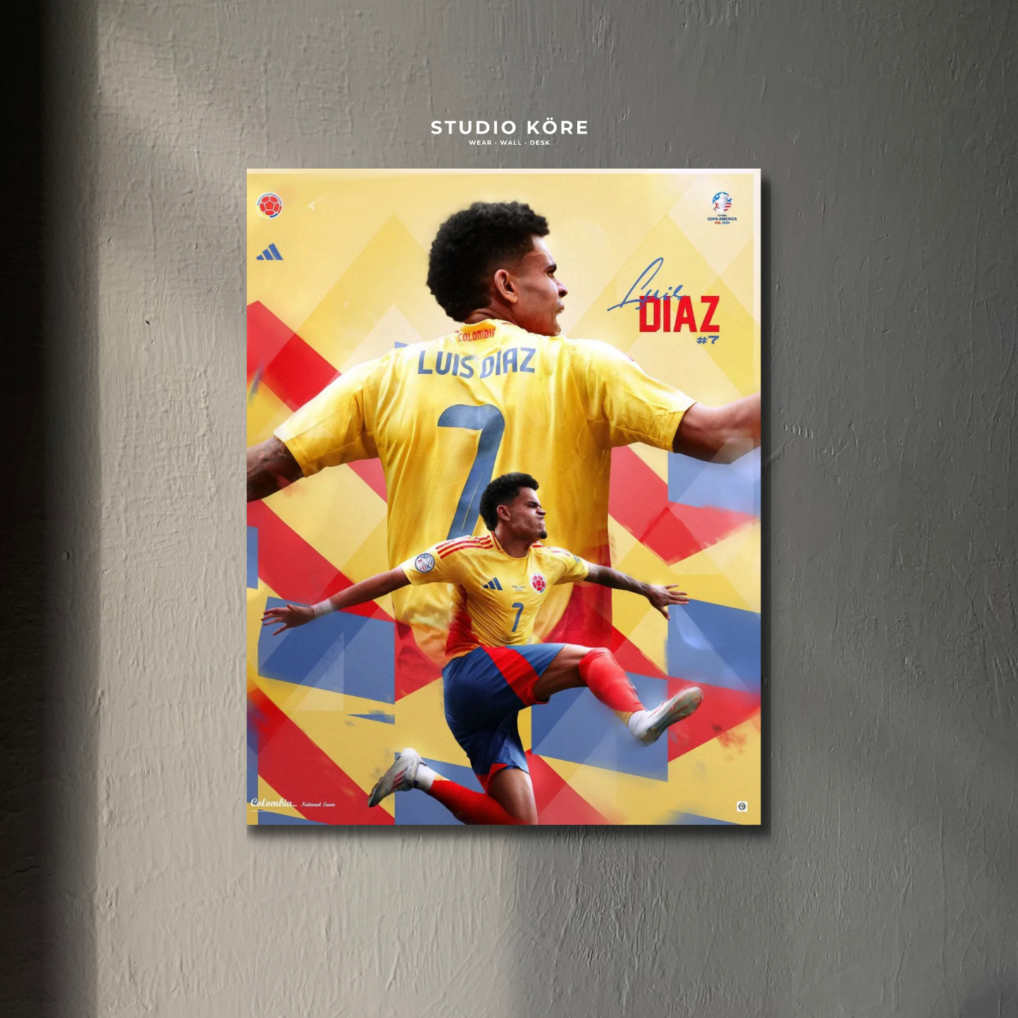 Cuadro Luis Diaz Vol 1 Decorativo Premium