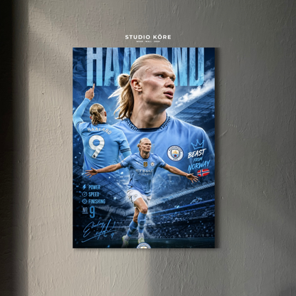Cuadro Erling Haaland Decorativo Premium