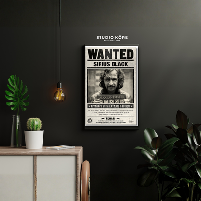 Cuadro Harry Potter Vol4 Decorativo Premium