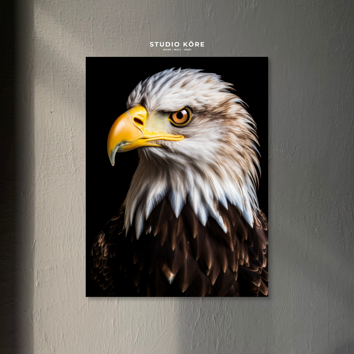 Cuadro Águila Decorativo Premium