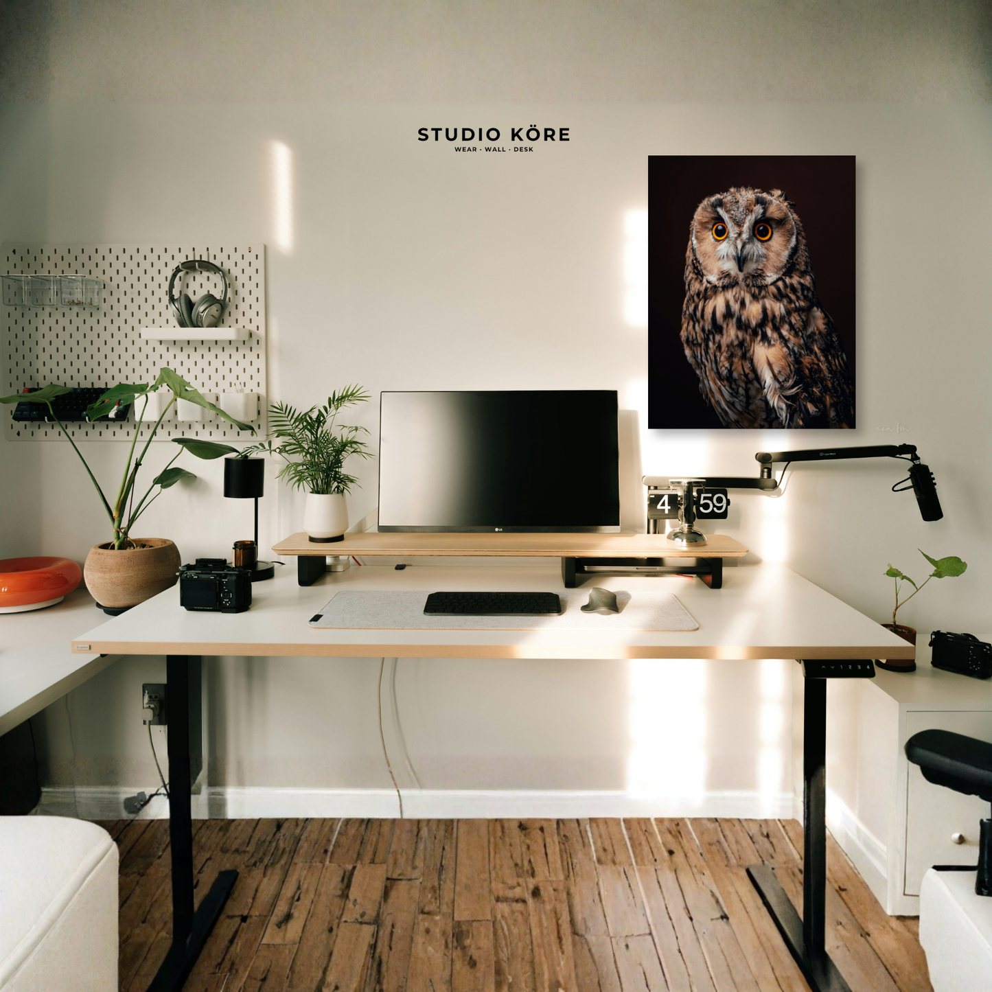 Cuadro Búho Decorativo Premium