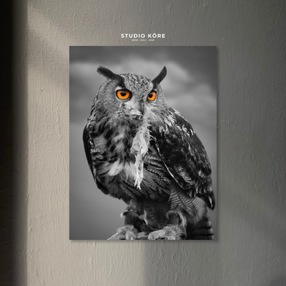 Cuadro Búho Gris Decorativo Premium