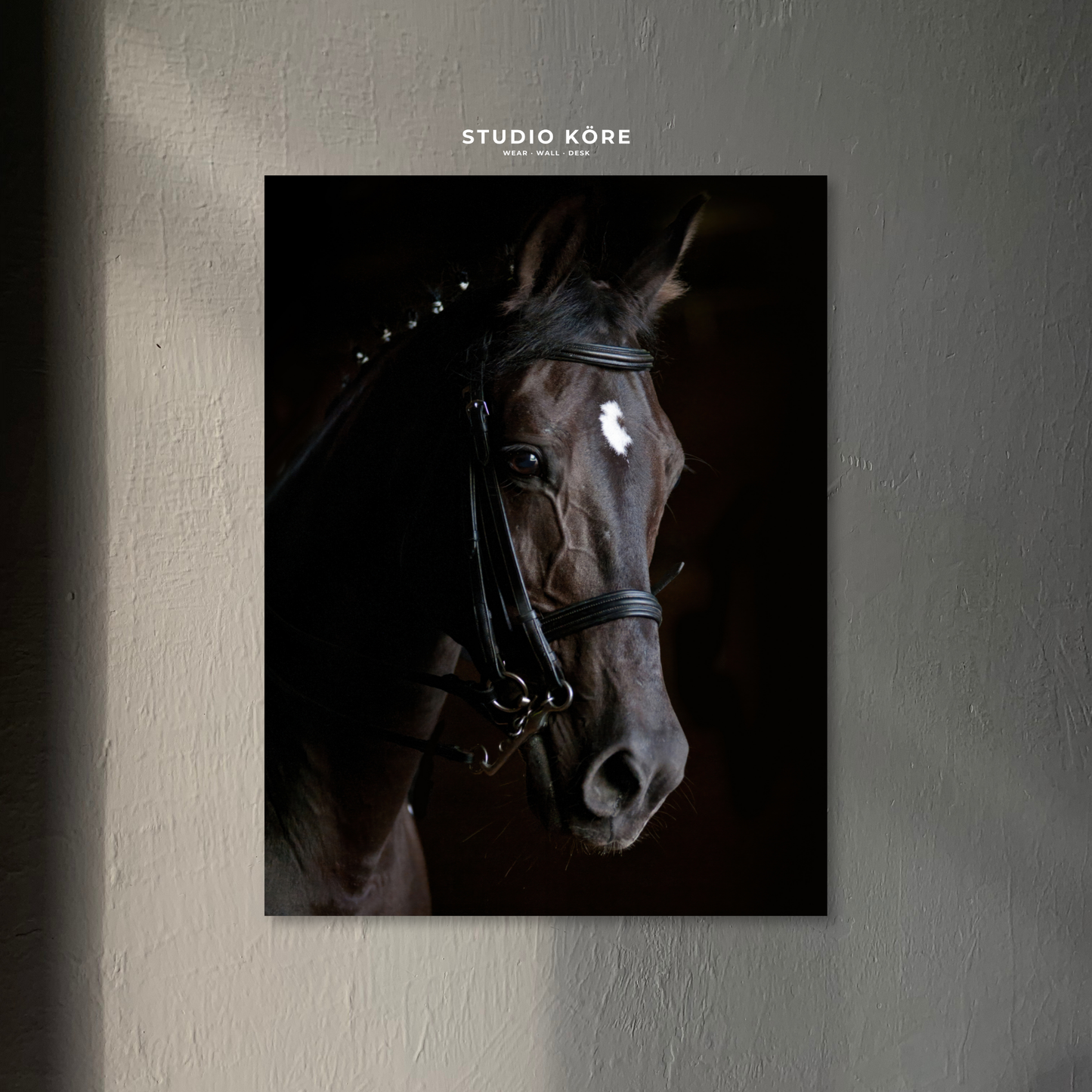 Cuadro Caballo Elegante Decorativo Premium