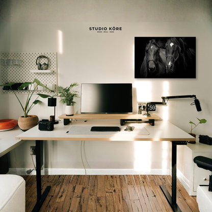 Cuadro Caballos Decorativo Premium