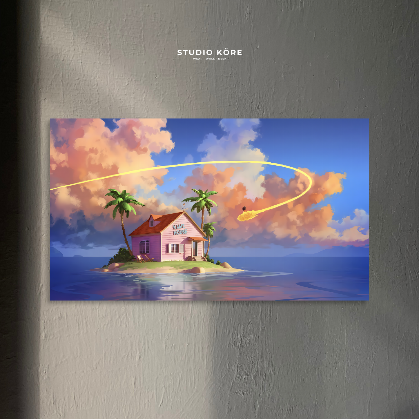 Cuadro DBZ KameHouse Decorativo Premium