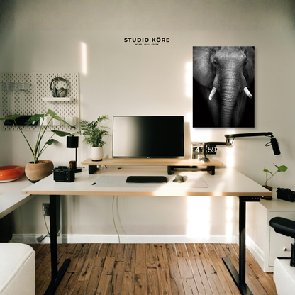 Cuadro Elefante Blanco y Negro Decorativo Premium