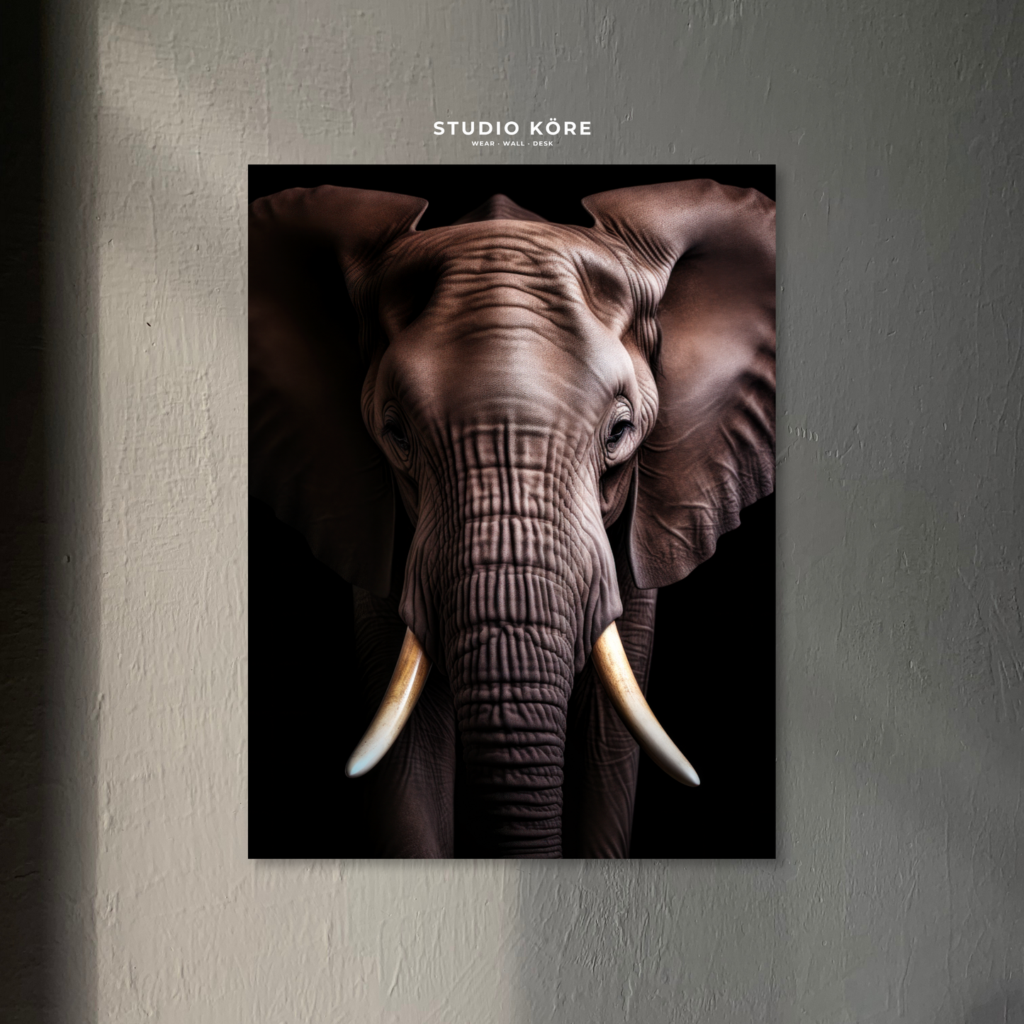 Cuadro Elefante Decorativo Premium