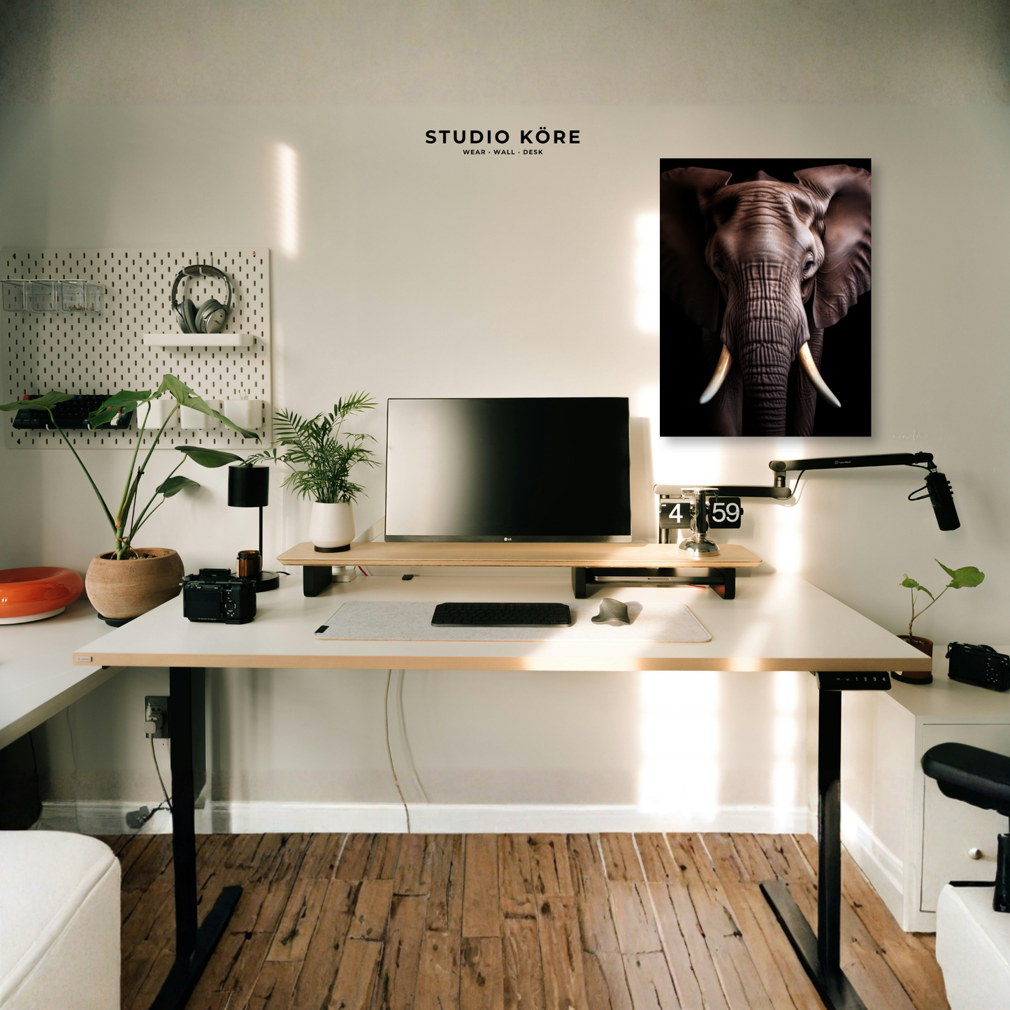 Cuadro Elefante Decorativo Premium