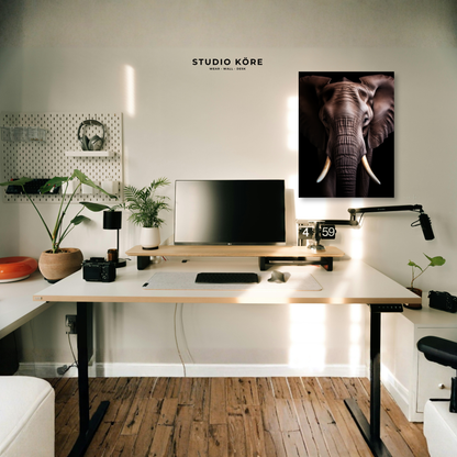Cuadro Elefante Decorativo Premium
