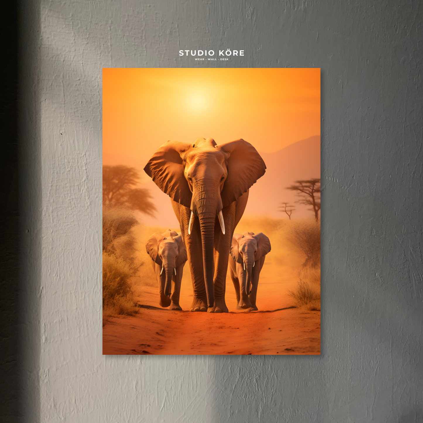 Cuadro Elefante al Atardecer Decorativo Premium