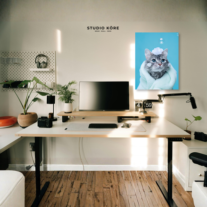 Cuadro Gato Azul Decorativo Premium