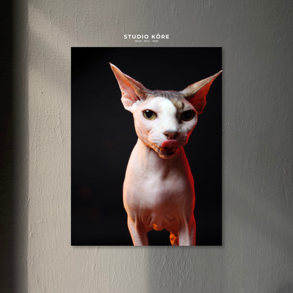 Cuadro Gato Esfinge Decorativo Premium
