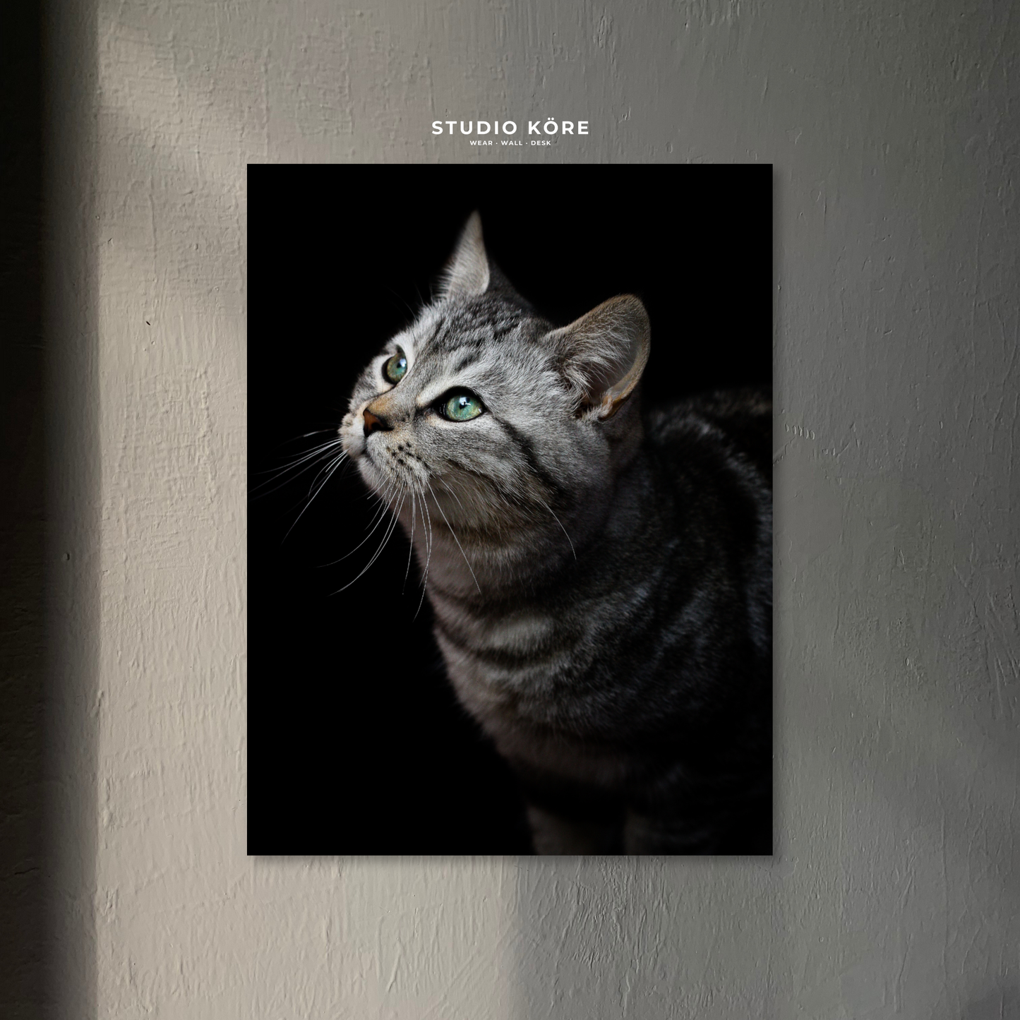 Cuadro Gato Gris Decorativo Premium