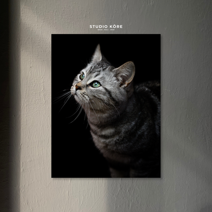 Cuadro Gato Gris Decorativo Premium