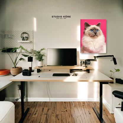 Cuadro Gato Persa Decorativo Premium