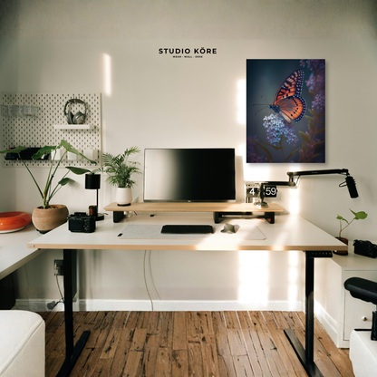 Cuadro Mariposa Decorativo Premium