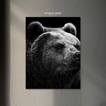 Cuadro Oso Decorativo Premium