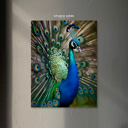 Cuadro Pavo Real Decorativo Premium