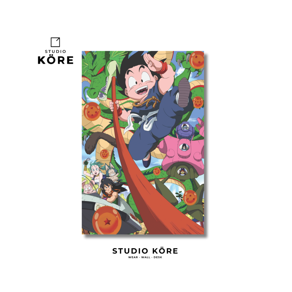 Cuadro Dragon Ball Vol1 Decorativo Premium